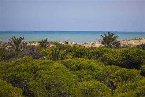 playa gay alicante|BEACH, Es Rebollo, La Marina – Gay – Alicante.